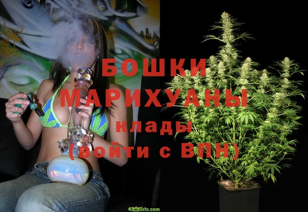 прущий лед Алзамай