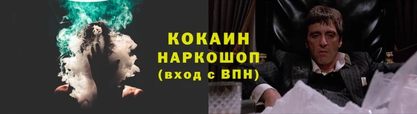 прущий лед Алзамай