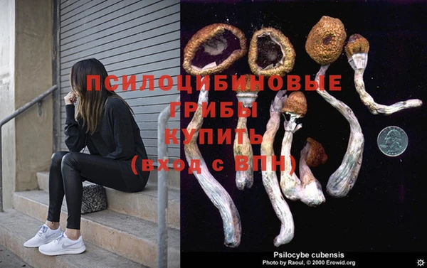 ECSTASY Алексеевка