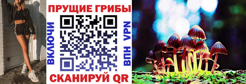 закладка  Нытва  гидра маркетплейс  Псилоцибиновые грибы прущие грибы 